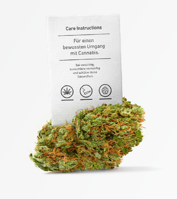 Care Instructions. Für einen bewussten Umgang mit Cannabis.